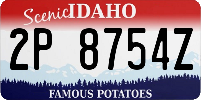 ID license plate 2P8754Z