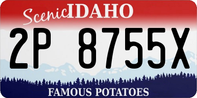 ID license plate 2P8755X