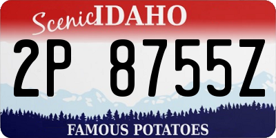 ID license plate 2P8755Z