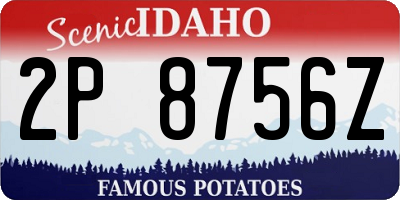 ID license plate 2P8756Z
