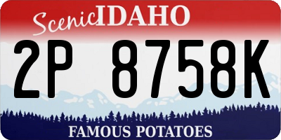 ID license plate 2P8758K