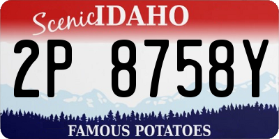 ID license plate 2P8758Y