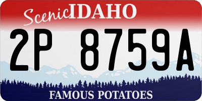 ID license plate 2P8759A
