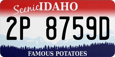 ID license plate 2P8759D