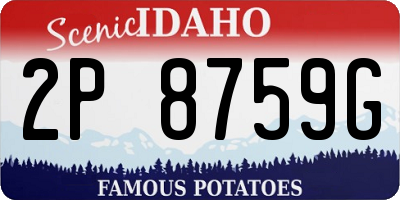 ID license plate 2P8759G