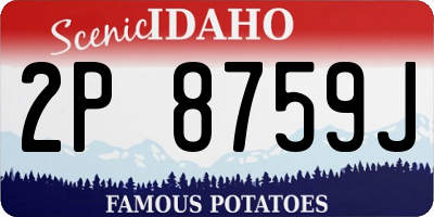 ID license plate 2P8759J