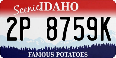 ID license plate 2P8759K