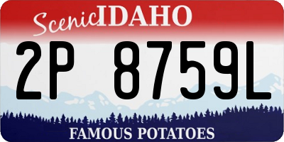 ID license plate 2P8759L