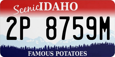ID license plate 2P8759M