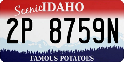 ID license plate 2P8759N