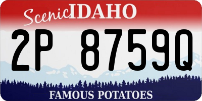 ID license plate 2P8759Q