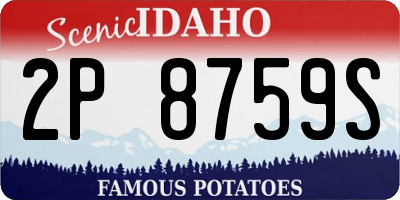 ID license plate 2P8759S