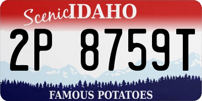 ID license plate 2P8759T