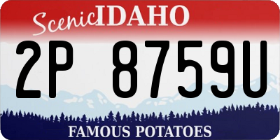 ID license plate 2P8759U