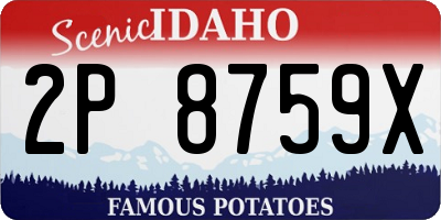 ID license plate 2P8759X