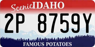 ID license plate 2P8759Y