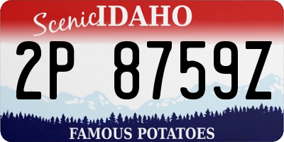 ID license plate 2P8759Z