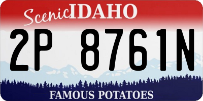 ID license plate 2P8761N