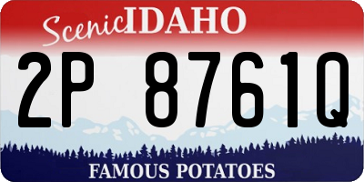 ID license plate 2P8761Q