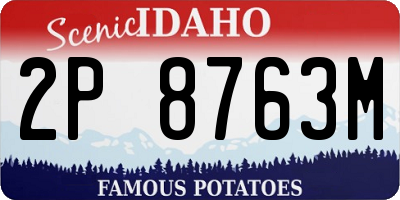ID license plate 2P8763M