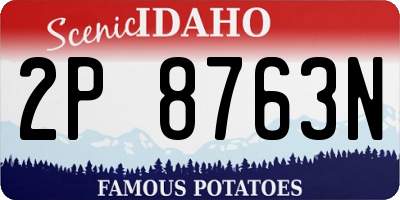 ID license plate 2P8763N