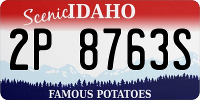 ID license plate 2P8763S