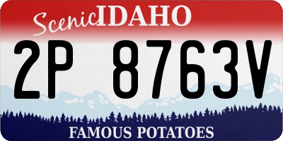 ID license plate 2P8763V