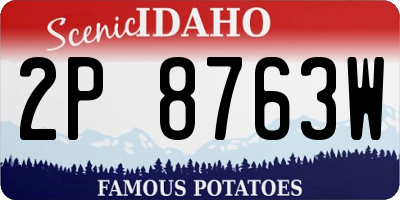 ID license plate 2P8763W