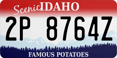 ID license plate 2P8764Z
