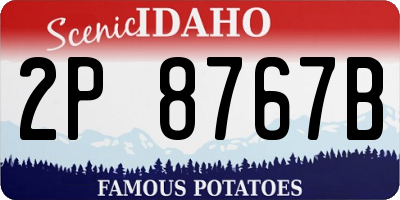 ID license plate 2P8767B