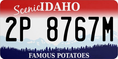 ID license plate 2P8767M