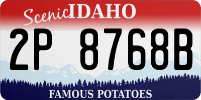 ID license plate 2P8768B