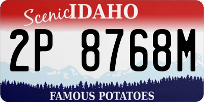 ID license plate 2P8768M