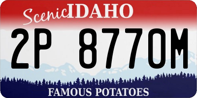 ID license plate 2P8770M