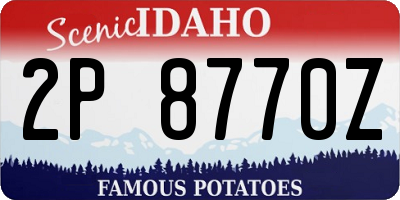ID license plate 2P8770Z