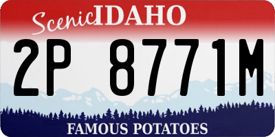 ID license plate 2P8771M