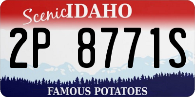 ID license plate 2P8771S
