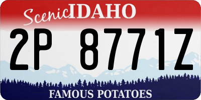 ID license plate 2P8771Z