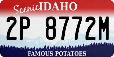 ID license plate 2P8772M