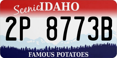 ID license plate 2P8773B