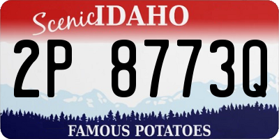 ID license plate 2P8773Q