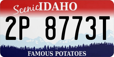 ID license plate 2P8773T