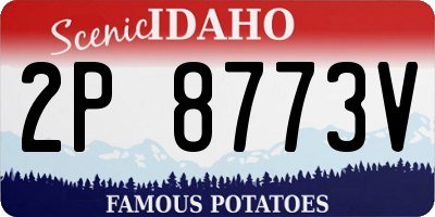 ID license plate 2P8773V
