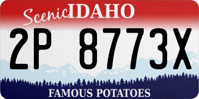 ID license plate 2P8773X