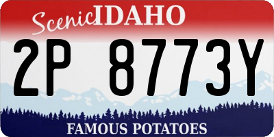 ID license plate 2P8773Y