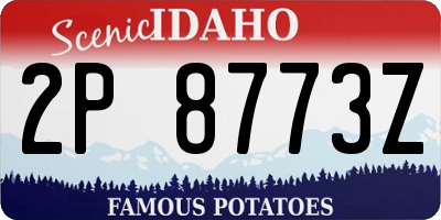 ID license plate 2P8773Z