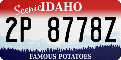 ID license plate 2P8778Z