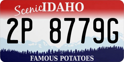 ID license plate 2P8779G