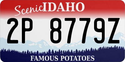 ID license plate 2P8779Z