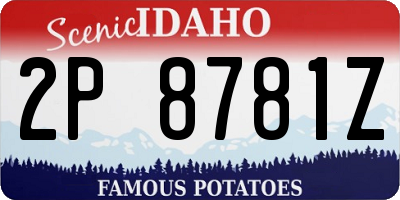 ID license plate 2P8781Z